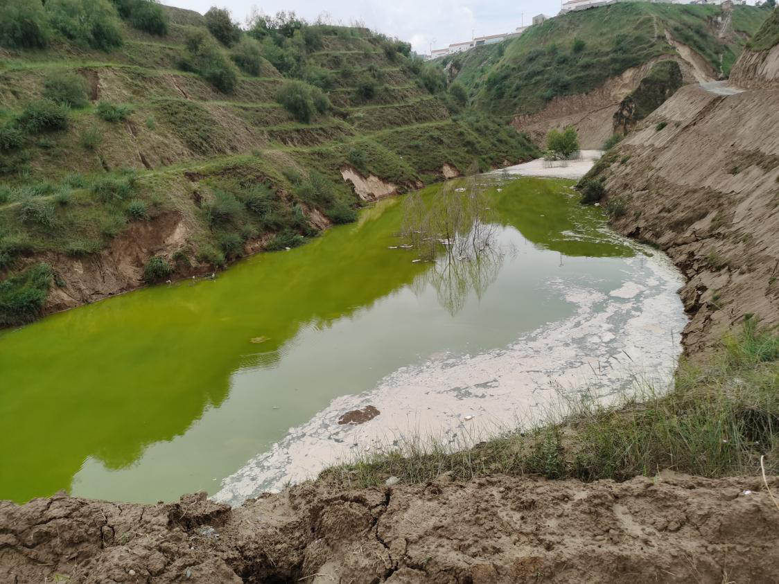 1598424305609044861.png 圖片2.png