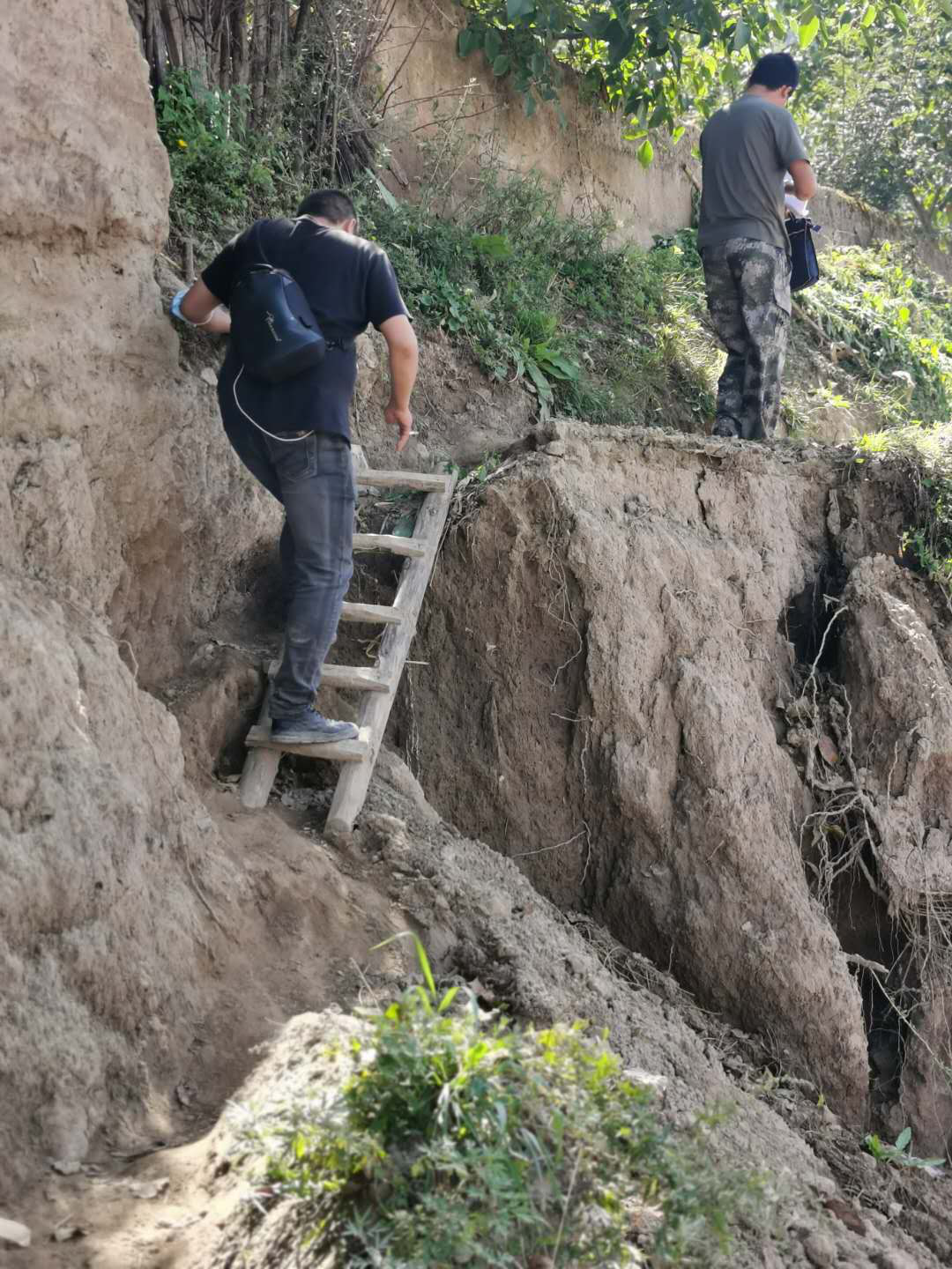 1599448644161053474.png 圖片5.png